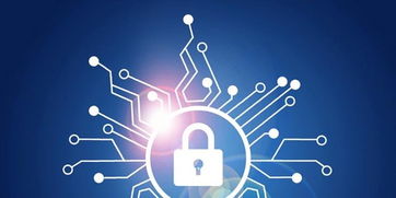 這個(gè)夏天，守護(hù)數(shù)字世界的六個(gè)安全小建議 | 聚焦網(wǎng)絡(luò)與信息安全軟件開發(fā)