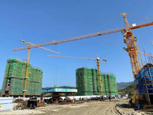 總投資4.3億元！壇廠棚改項(xiàng)目進(jìn)展順利，項(xiàng)目擔(dān)保機(jī)制保障居民權(quán)益